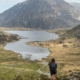 Y GARN 3