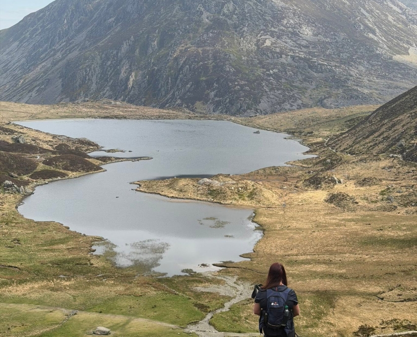 Y GARN 3