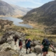 Y GARN 4
